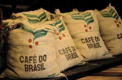 Brazilian Coffee