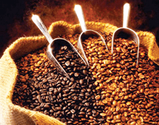 Coffe Supplier seller